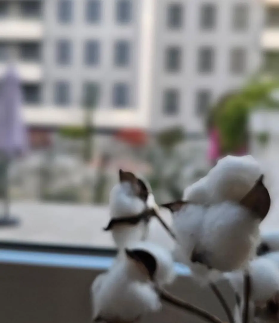 Albayda Garden Apartment Granada Spain
